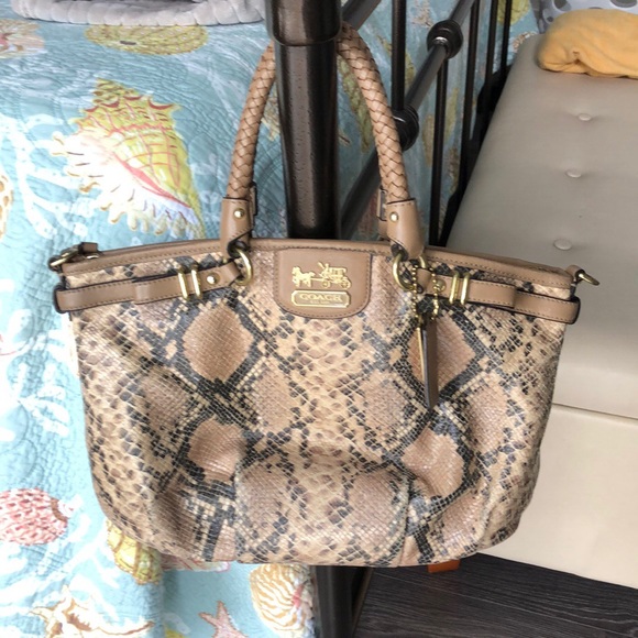 Coach purse- snakeskin print - Picture 1 of 3